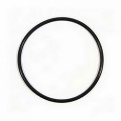 3/4x2.5"DIA FILTER SS ORING CUNO