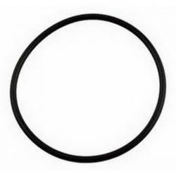 PENTAIR LID O-RING