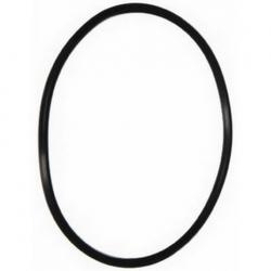 PENTAIR DIFFUSER O-RING