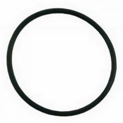PENTAIR INTELLICHLOR ORING