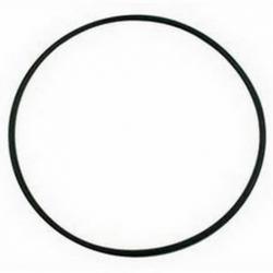 PENTAIR PINNACLE BRACKET O-RING