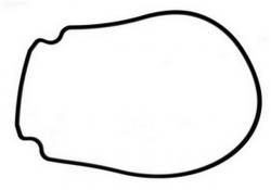 PENTAIR INTELLIFLO GASKET BLACK