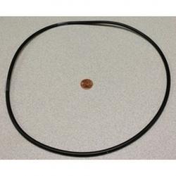 PACER O-RING FOR BODY