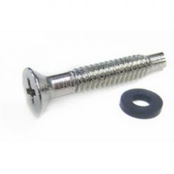 POOL LIGHT SS PILOT SCREW &ORING
