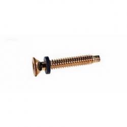 POOL LIGHT BRS PILOT SCREW&ORING
