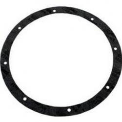 2PK 8 HOLE NICHE GASKET PENTAIR