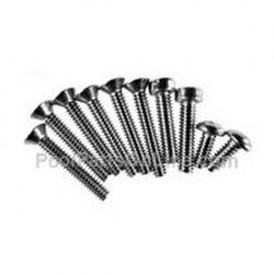SPA NICHE SCREW KIT PENTAIR