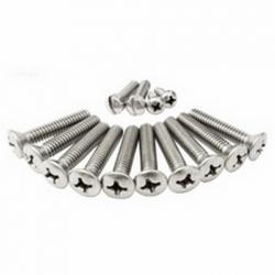 10HOLE 13/8 NICHE SCREWS PENTAIR