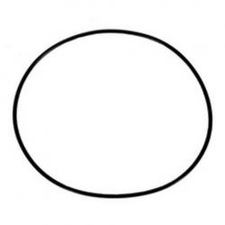 WATERWAY FACE PLATE O RING