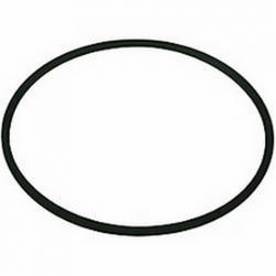 LITTLE GIANT DRAINOSAUR ORING