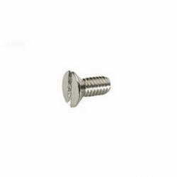 HAYWARD SKIMMER COVER SCREW