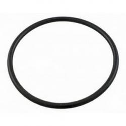 HAYWARD STRAINER COVER O RING