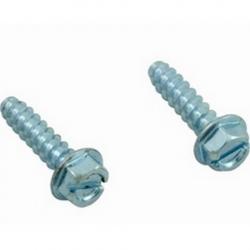 2PK HAYWARD MOUNTING FOOT SCREW