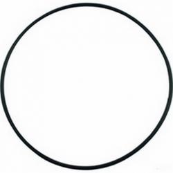 HAYWARD POWER FLO O RING