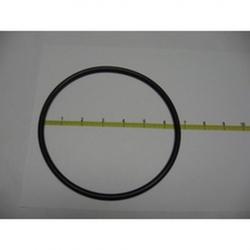 HAYWARD STRAINER COVER O RING