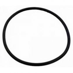 HAYWARD 3000 COVER O RING