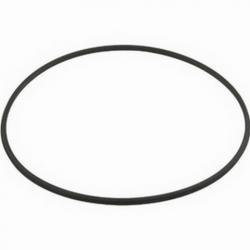 HAYWARD STRAINER O-RING
