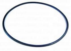 NORTHSTAR STRAINER COVER O-RING