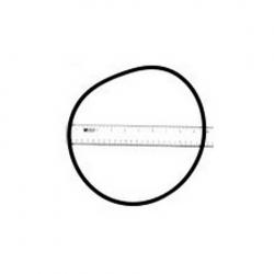 NORTHSTAR SEAL PLATE O RING