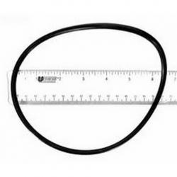 JANDY PUMP LID O RING
