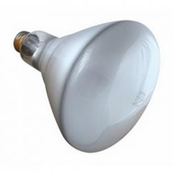 120V 500W LIGHT BULB FLOOD