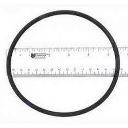 CL200 O-RING VITON / CHLORINATOR