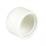 1" F CAP PVC SCH40