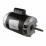 3/4HP THR SHAFT MOTOR POLARIS