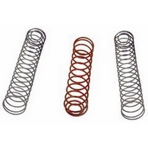 RAYPAK BY PASS SPRING