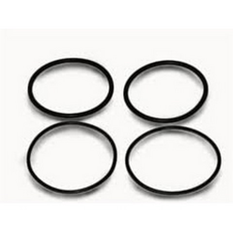 2PK RAYPAK ORING KIT 185-405