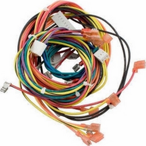 RAYPAK WIRE HARNESS IID