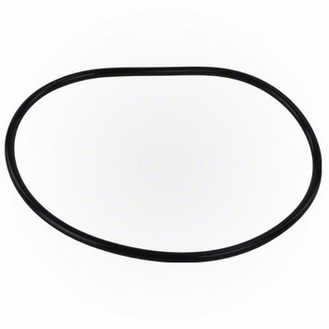 SANI KING CHLORINATOR CAP O RING