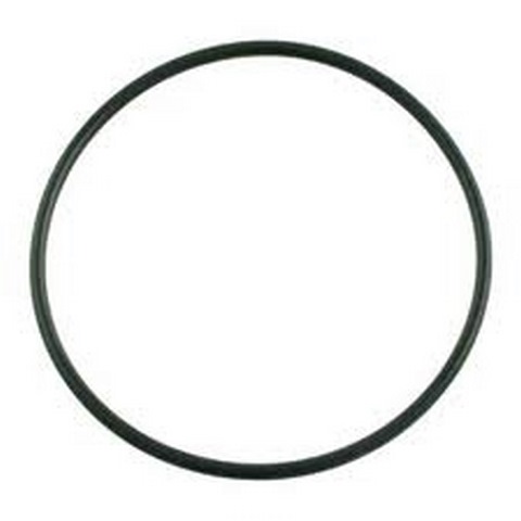 PENTAIR WHISPERFLO DIFF ORING