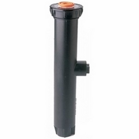 6" SPRAY BODY RAINBIRD 30PSI