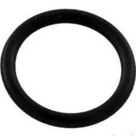 PENTAIR NAUTILU DRAIN PLUG ORING