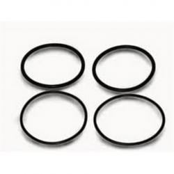 2PK RAYPAK ORING KIT 185-405