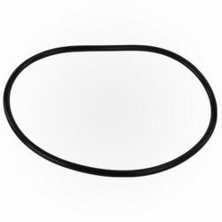 SANI KING CHLORINATOR CAP O RING