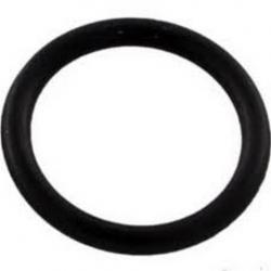 PENTAIR NAUTILU DRAIN PLUG ORING