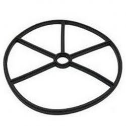 PENTAIR 2" DIVERTER GASKET