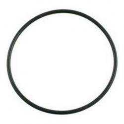 PENTAIR MULTI VALVE ORING