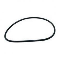 PENTAIR MULTI VALVE ORING